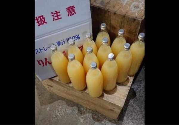 青森県産 リンゴジュース ふじ 12本入り