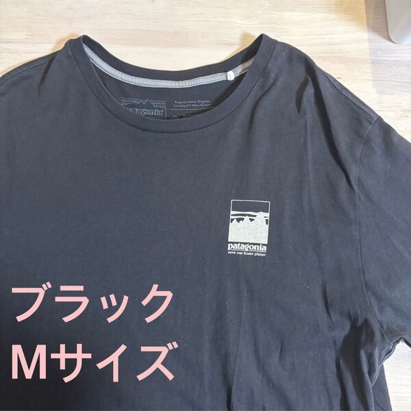 パタゴニア Tシャツ Mサイズ メンズ 大きめ