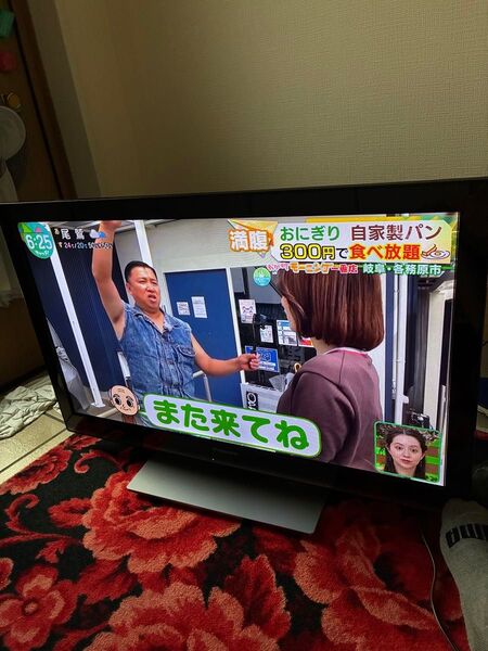 Panasonic パナソニック 32V型 液晶テレビ ビエラ