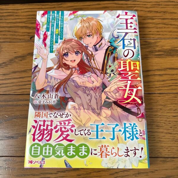 宝石の聖女 宝石を要求していたら「欲深女め!」と追放された。結界の維持に必要だったんですけど?まあもういいや 八木山蒼/著