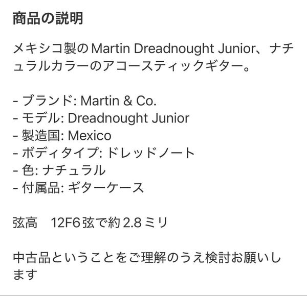 Martin DJR-10E-02 エレアコ ナチュラル ソフトケース付
