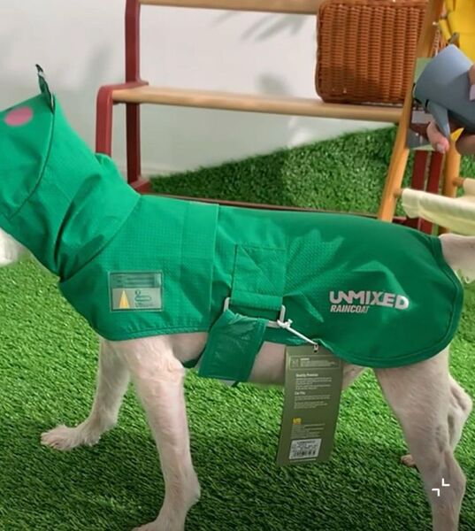 新品 セール 犬用品 レインコート カッパ 雨合羽 可愛い ヒヨコ 緑色 2XL XXL 犬服 グリーン