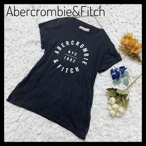 訳あり特価 Abererombie&Fitch アバクロ ロゴTシャツ ネイビー 半袖 Mサイズ ビスコース