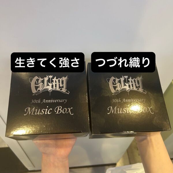 GLAY 30th Anniversary MusicBox GIGO限定2点①