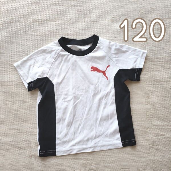 PUMA 子供用 半袖Tシャツ 120 白黒 スポーツウェア プーマ