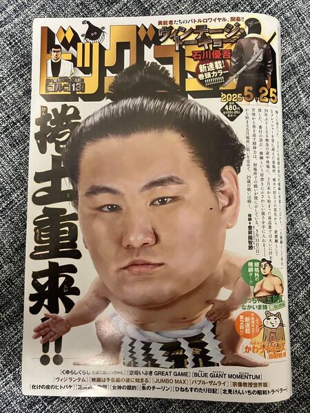 ビッグコミック 2025年5/25号 最新号 No.10 漫画雑誌 送料込 美品 小学館 横綱・豊昇龍 マンガ 青年漫画