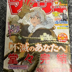 週刊少年マガジン バックナンバー 2025年No.27 送料込 マンガ 漫画雑誌 グラビア 南あみ 講談社 不滅のあなたへ 完結