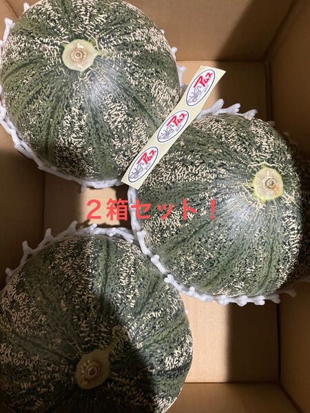 島根産アムスメロン優5Lサイズ3玉入り2箱セット!