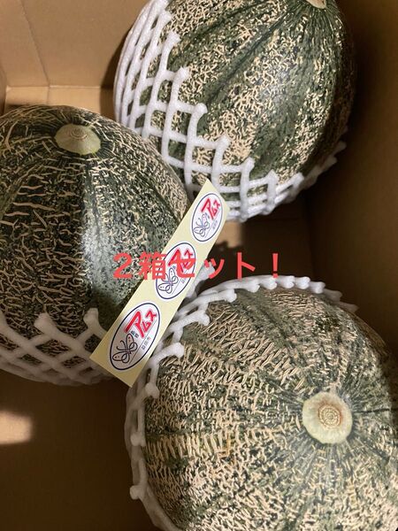 島根産アムスメロン赤秀5Lサイズ3玉入り2箱セット!