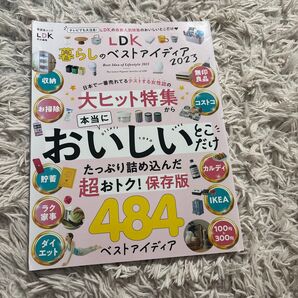 LDK暮らしのベストアイディア2023 (晋遊舎ムック)