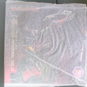 リボルテックヤマグチ No.112 Evangelion Evolution エヴァンゲリオン仮設5号機