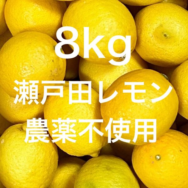 国産 瀬戸田レモン