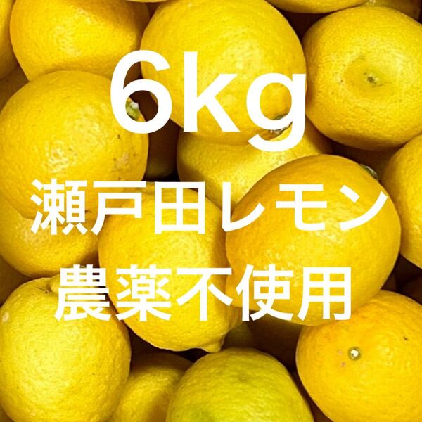 国産 瀬戸田レモン