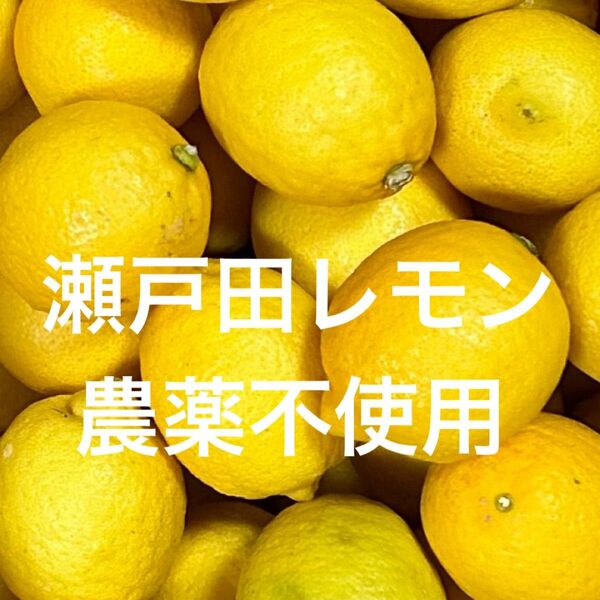 国産 瀬戸田レモン