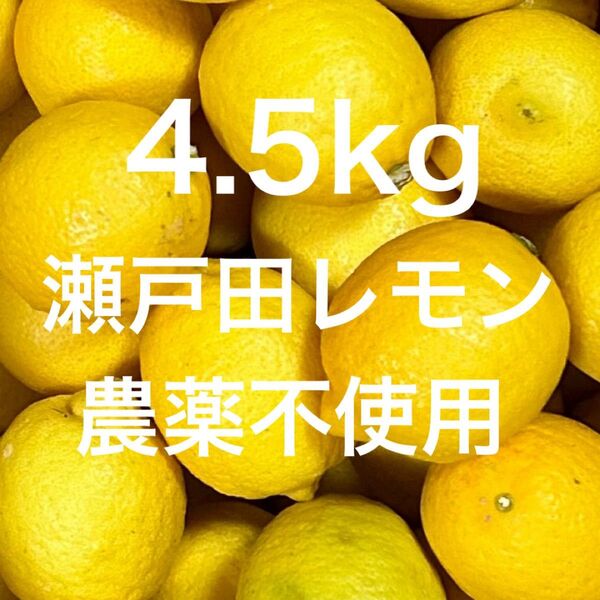 国産 瀬戸田レモン
