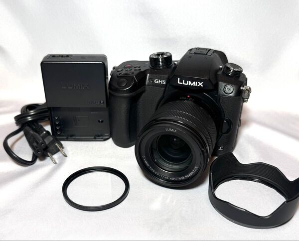 Panasonic DC-GH5,12-60mm F3.5-5.6 #2181