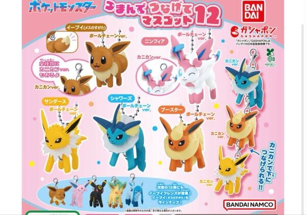 ポケモン つまんでつなげてマスコット 全10種 コンプ ブイズ