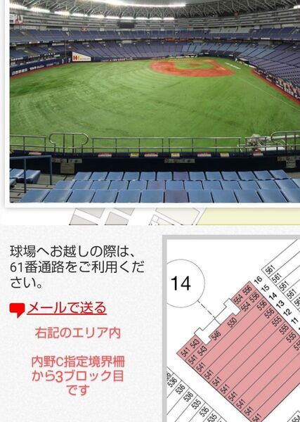 6月15日(日)オリックスVS巨人 レフト上段外野指定 大人1点