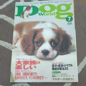 ドッグワールド 2000年7月号 犬 多頭飼い