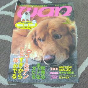Wan 2009年7月号 愛犬雑誌