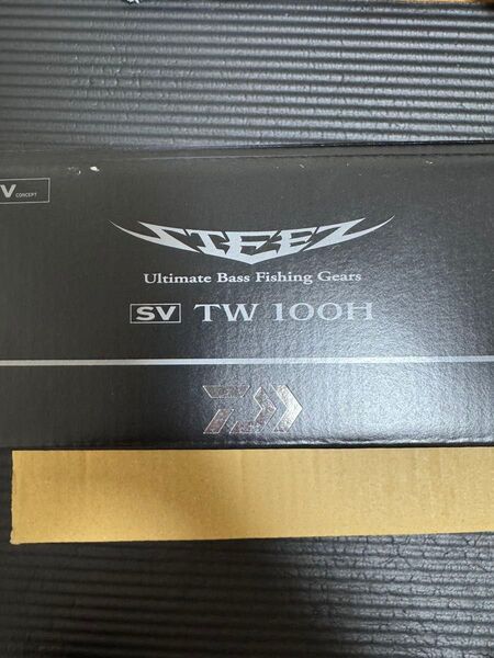 ダイワ 24STEEZ SV TW 100H