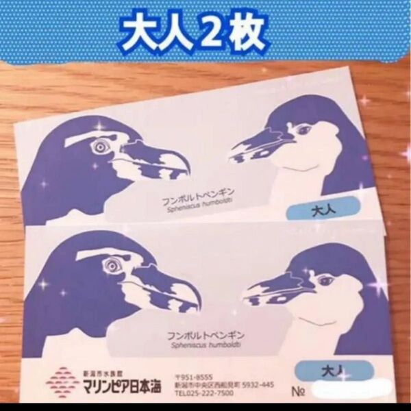 マリンピア日本海 大人入場券 2枚 チケット 新潟市水族館