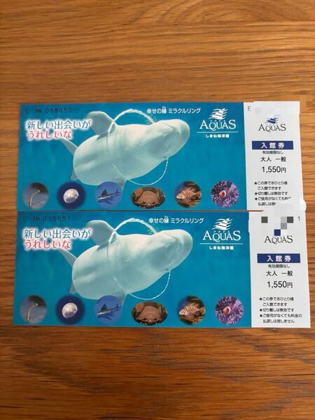 しまね海洋館AQUAS 入館券 2枚 有効期限なし 大人