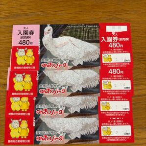 豊橋総合動植物公園 のんほいパーク 入園券 4枚