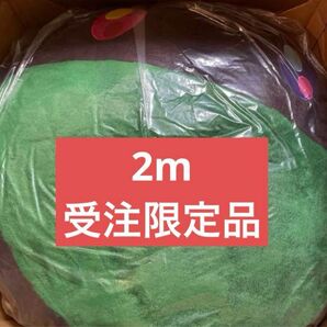 村上隆 2m クッション 受注生産限定品 定価20万以上 希少