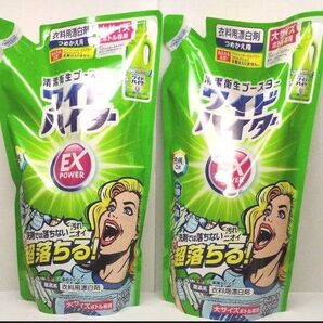 折り紙1枚 + 花王 ワイドハイターEXパワー つめかえ用 820ml×2袋