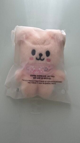 SKZOO PLUSH 10CM SKZ 5CLOCK ペンミ パピーム