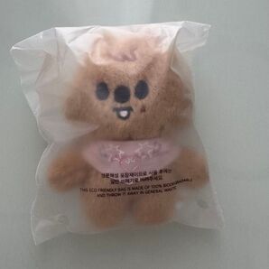 SKZOO PLUSH 10CM SKZ 5CLOCK ペンミ クォッカ