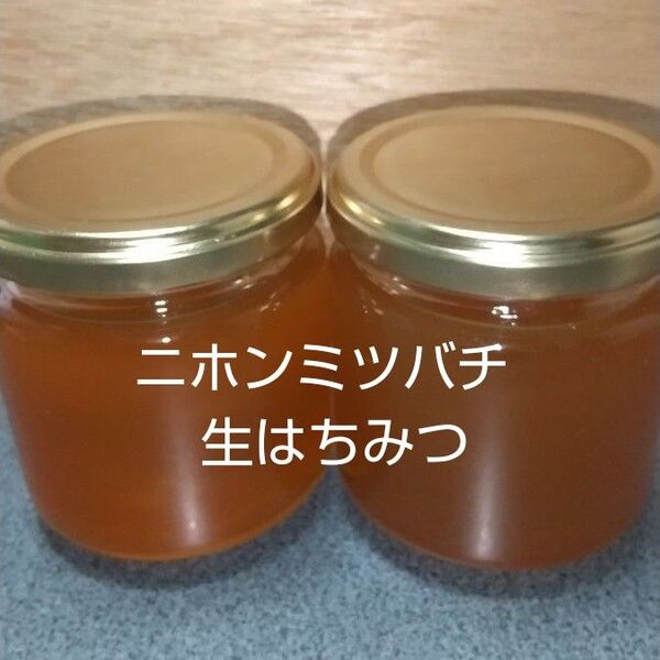 日本ミツバチの生はちみつ 400g (200g×2本)