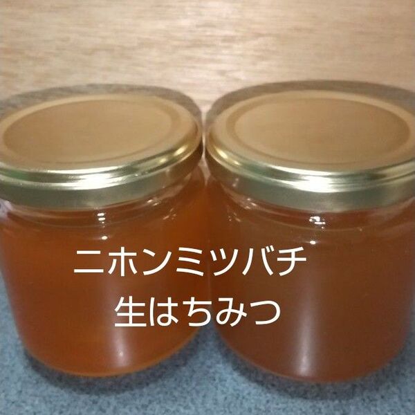 日本ミツバチの生はちみつ 400g (200g×2本)