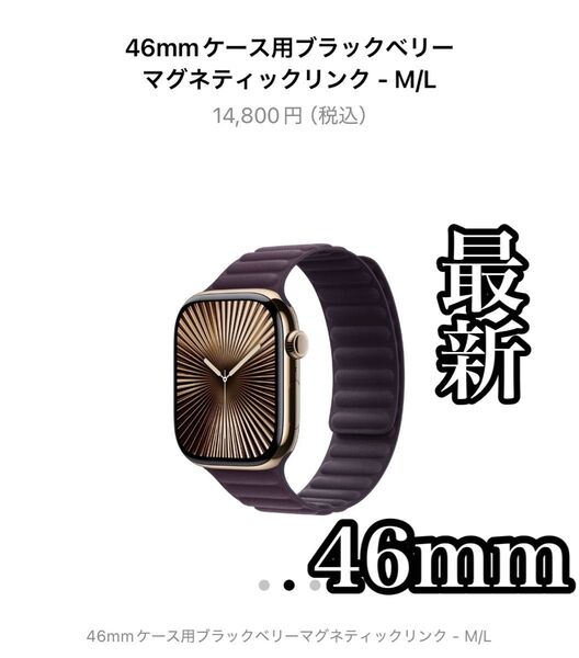 純正 Apple Watch マグネティックリンク バンド 46mm