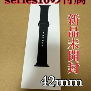 Apple Watch純正スポーツバンド42mm