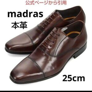 新品18700円☆madras マドラス 革靴 ビジネスシューズ 25cm ダークブラウン 本革 品番dm7271-dbr-250