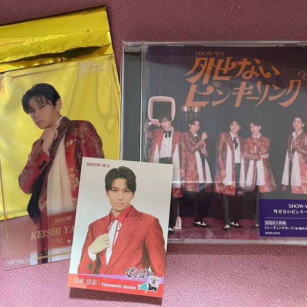 SHOW-WA CD 山本佳志 セット