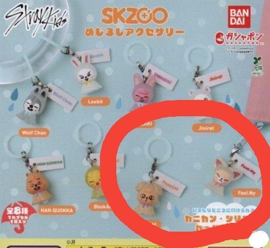 めじるしアクセサリー SKZOO スンミン アイエン パピーム フォクシニー