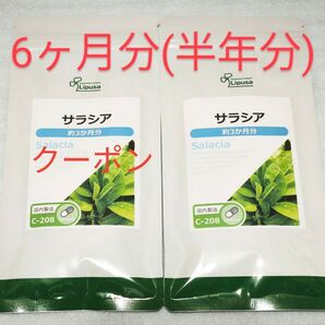 サラシア 6ヶ月分 サプリメント リプサ Lipusa サラシアサプリ ダイエット
