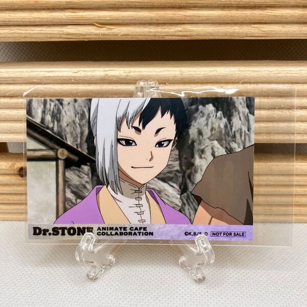 Dr.STONE アニメイトカフェ 特典 フォトカード あさぎりゲン