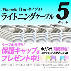 ライトニングケーブル Lightning端子 タイプA typeA iPhone USB充電器 Appleアップル純正品互換 人気