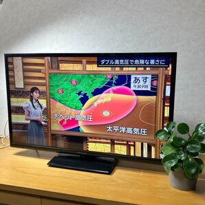 Panasonic 32インチ 液晶テレビ VIERA TH-32D300