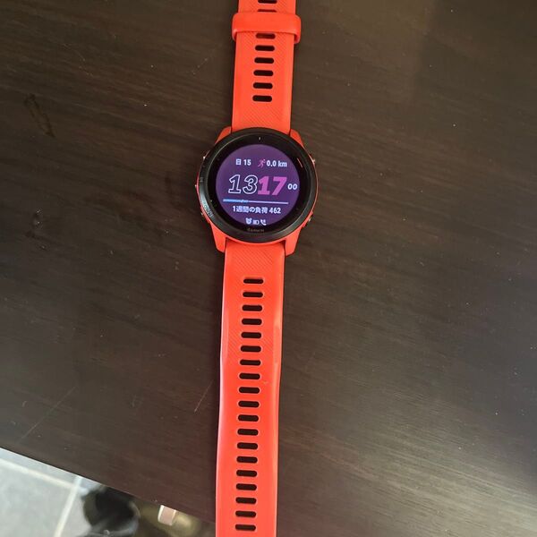 GARMIN