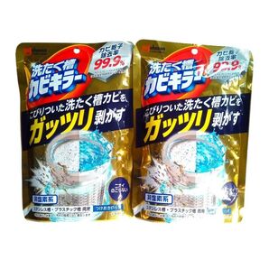 2個セット ジョンソン 洗たく槽カビキラー つけおきいらず 非塩素系 250g