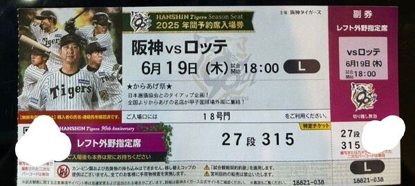 阪神vsロッテ 6/19(木) レフト外野指定席 27段315番