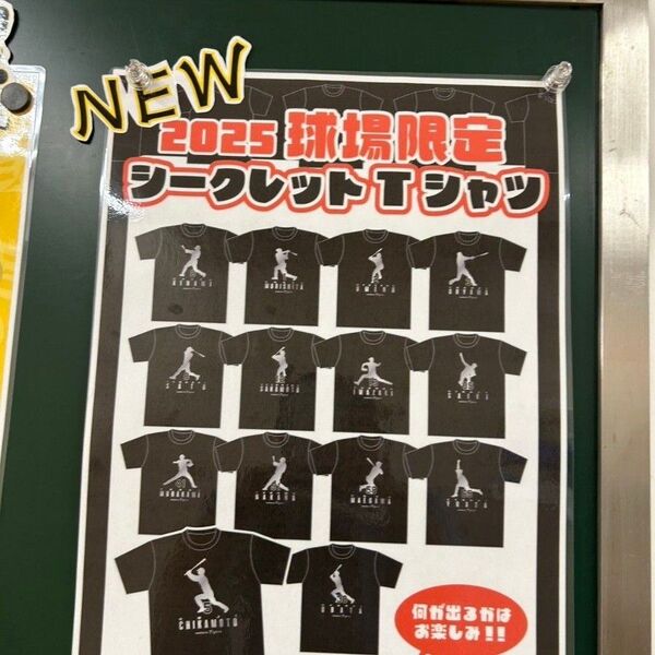 3枚セット 2025年球場限定 シークレットTシャツ 3枚セット 佐藤輝明 近本光司 森下翔太