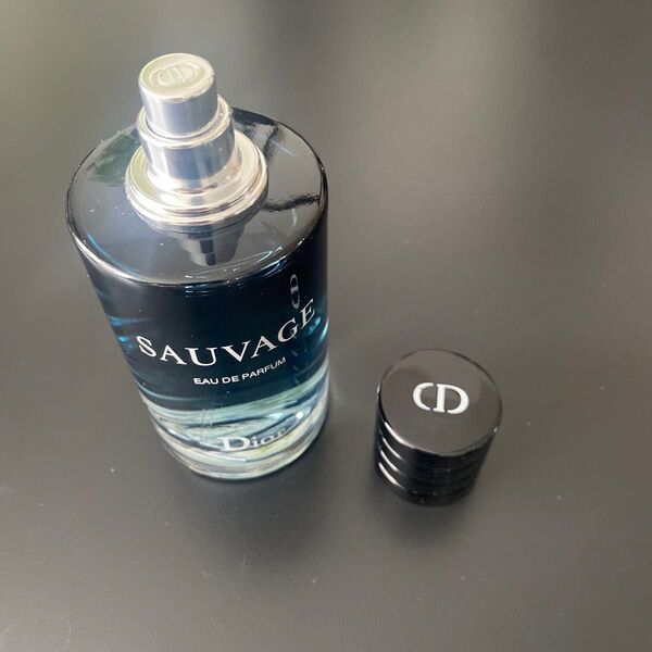 クリスチャン ディオール ソヴァージュ EDP Dior SAUVAGE 100ml 香水 オードパルファム