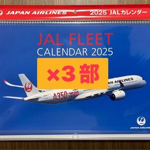 JAL FLEET CALENDAR 2025 ×3部 普通判壁掛けカレンダー