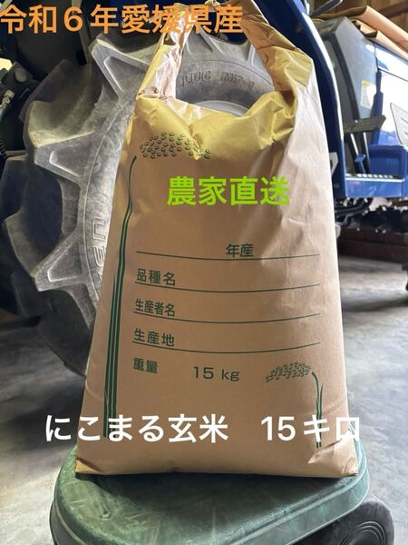 【農家直送】にこまる 米 令和6年度産 玄米 約15キロ